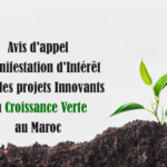 Avis d'appel à Manifestation d'Intérêt pour les Projets Innovants en Croissance Verte au Maroc